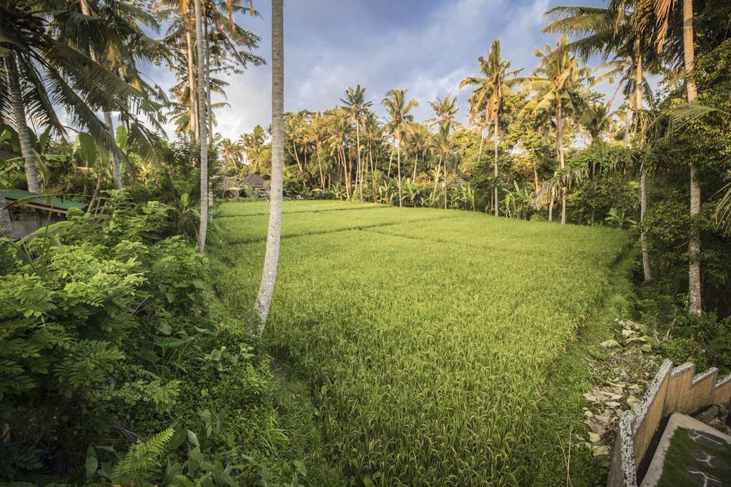 Serenity Ubud Villa & Spa Ngoại thất bức ảnh