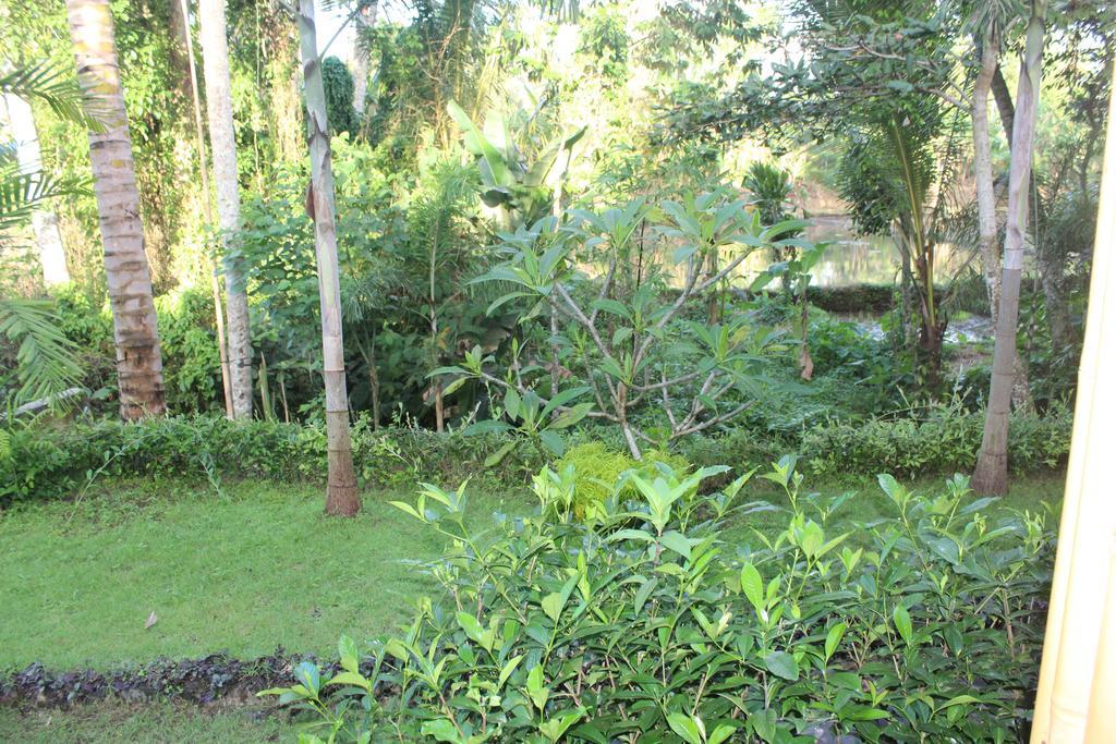 Serenity Ubud Villa & Spa Ngoại thất bức ảnh